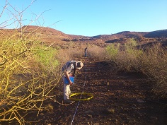 Geophysics