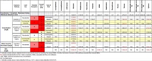 Risk Based Corrective Action