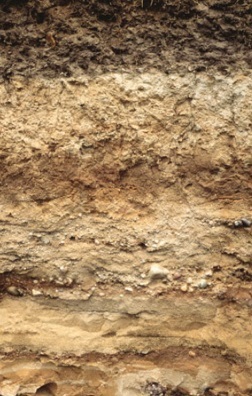 soil profile